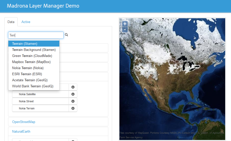 Data layer manager - Image 1