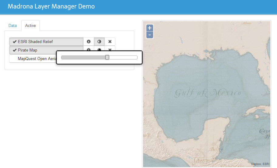 Data layer manager - Image 2